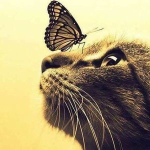 Meet your Posher, Jeannette